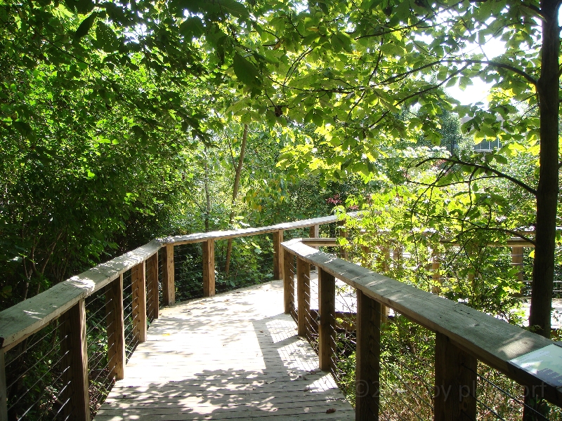 Western Michigan [2009] 444.JPG - Scenes from Frederik Meijer Gardens & Sculpture Park.